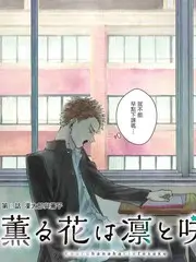 舞台之上 竞演综艺